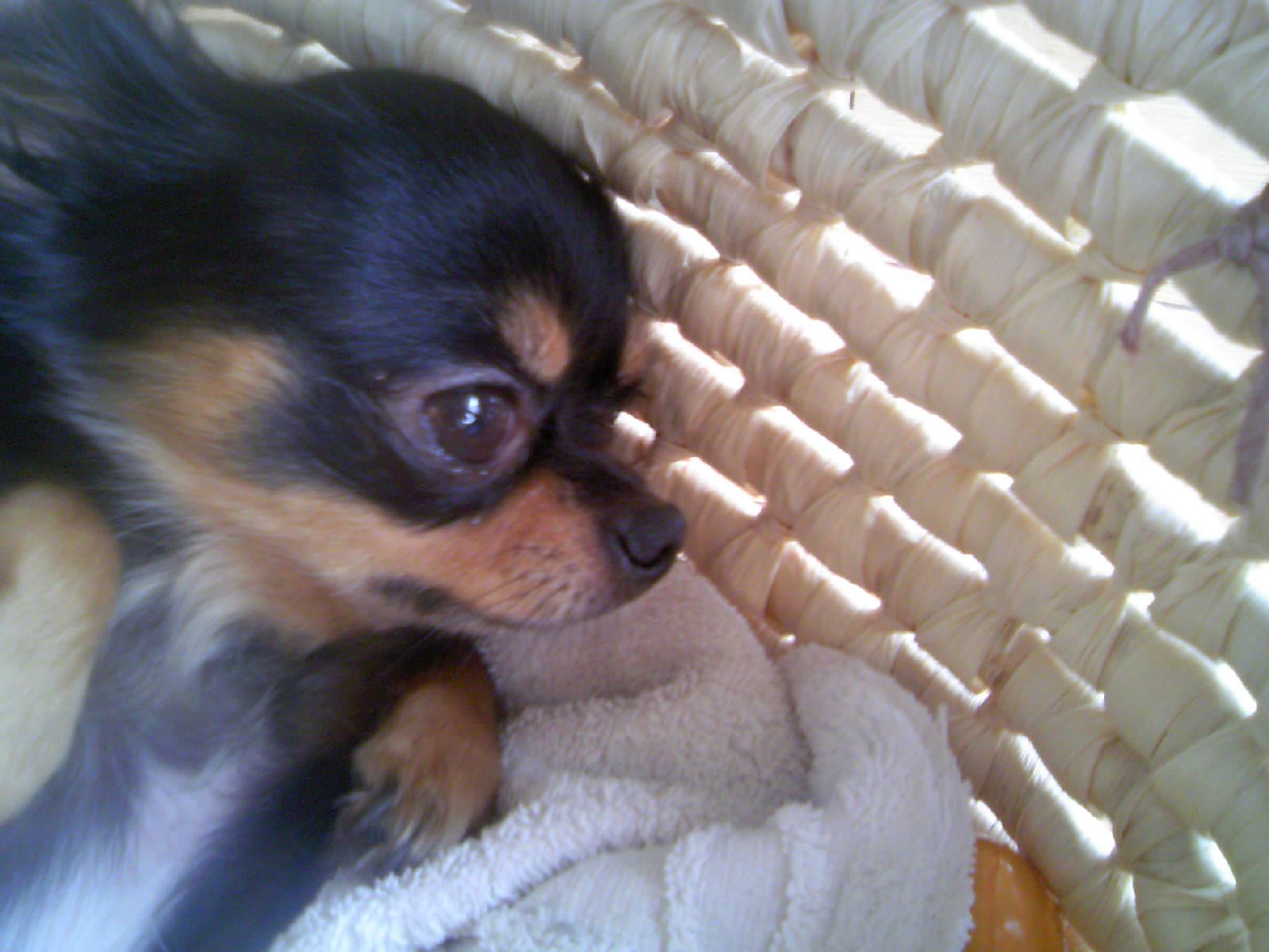 アップロードファイル 180KB