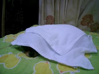 アップロードファイル 9KB