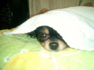 アップロードファイル 8KB