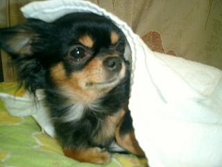 アップロードファイル 10KB