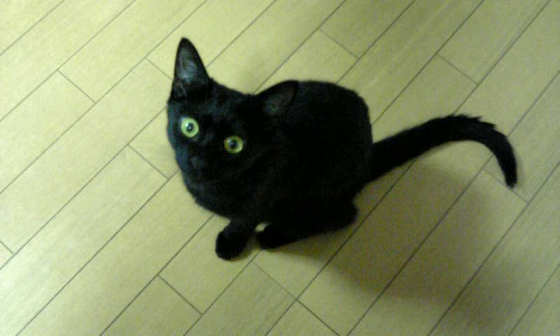 アップロードファイル 29KB