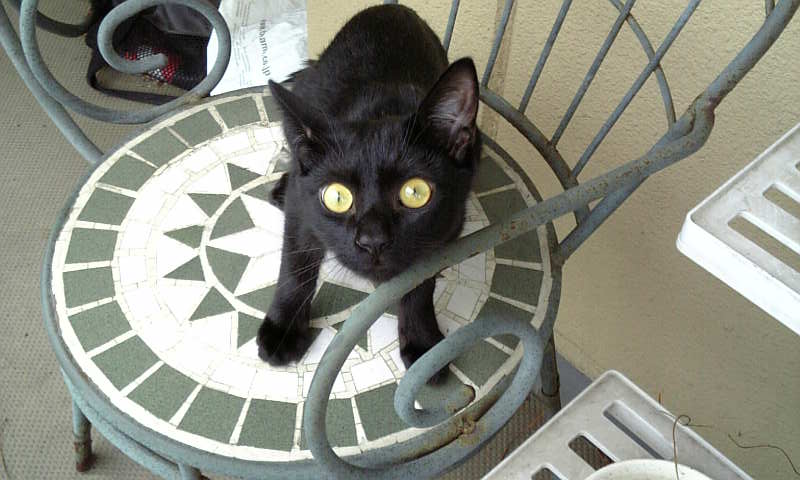 アップロードファイル 54KB