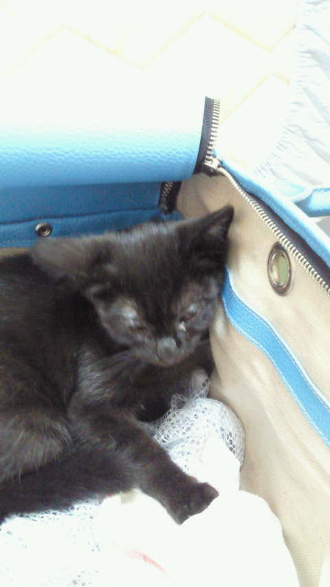 アップロードファイル 31KB