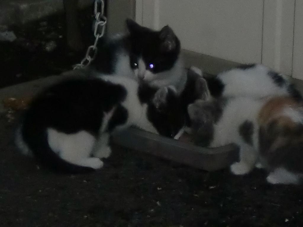 アップロードファイル 92KB