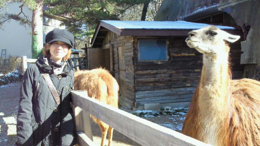 アップロードファイル 62KB