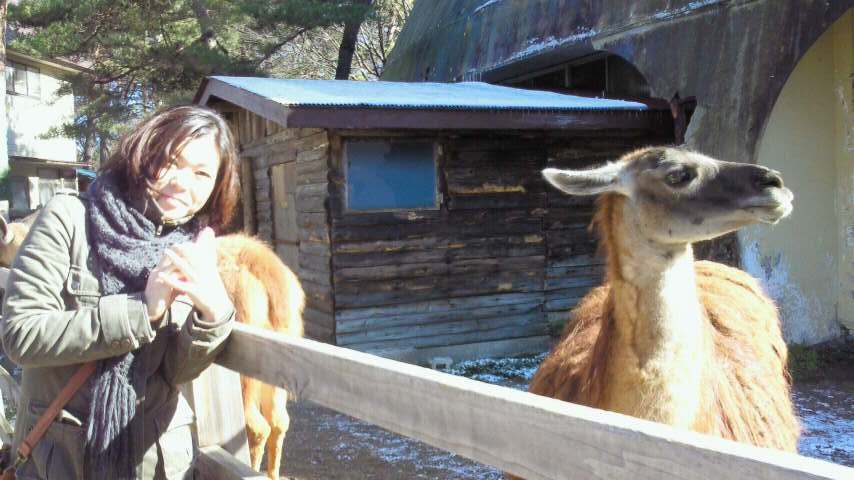 アップロードファイル 57KB