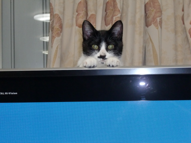 アップロードファイル 117KB