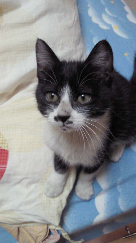 アップロードファイル 35KB