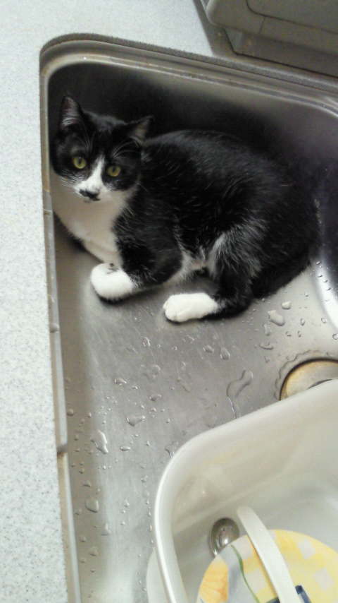 アップロードファイル 36KB