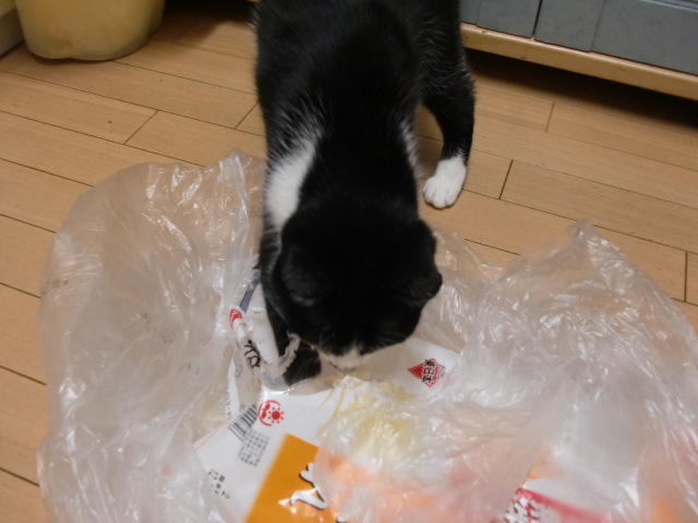 アップロードファイル 117KB