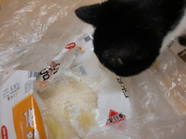 アップロードファイル 106KB