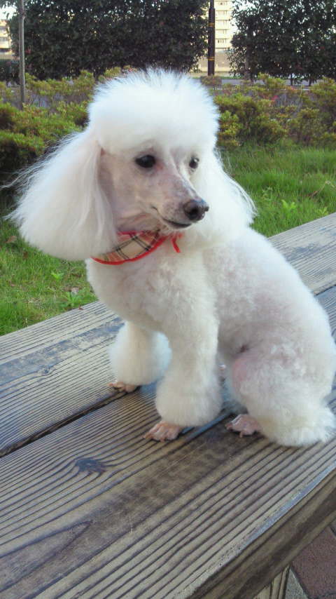 アップロードファイル 60KB