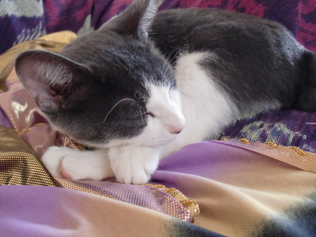 アップロードファイル 148KB