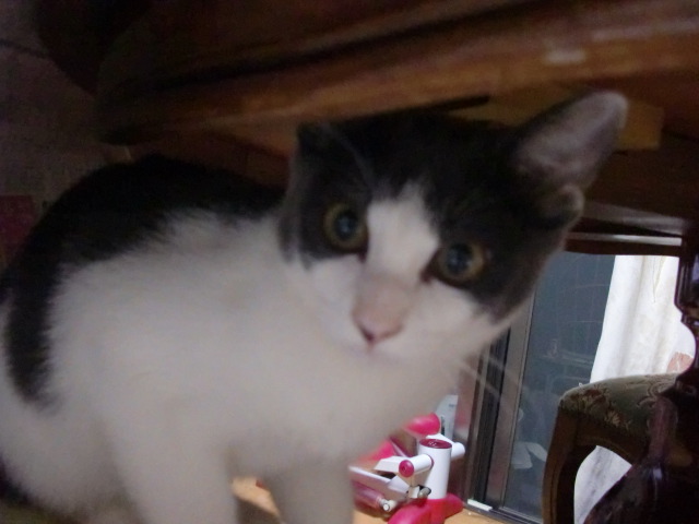 アップロードファイル 108KB