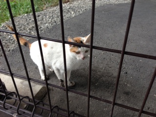 アップロードファイル 46KB