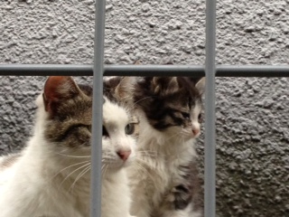 アップロードファイル 48KB