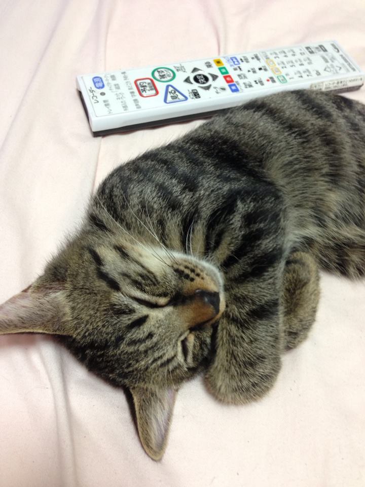 アップロードファイル 91KB