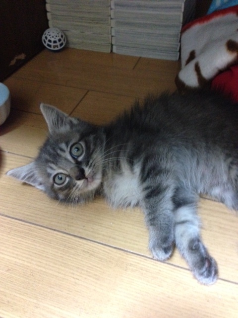 アップロードファイル 97KB