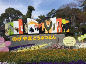 野毛山動物園